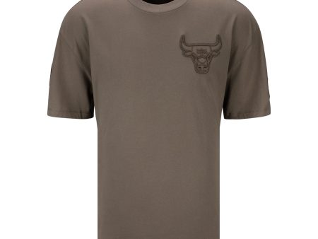 Chicago Bulls Pro Standard Neutral T-Shirt For Sale