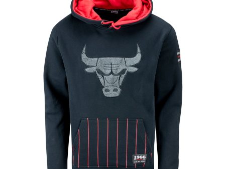 Chicago Bulls 1966 Pinstripe Hooded Sweatshirt Online