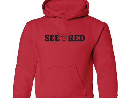 Youth Chicago Bulls  See Red  Hooded Sweatshirt Fashion