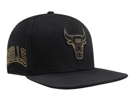 Chicago Bulls Pro Standard Gold Collection Snapback Online Sale