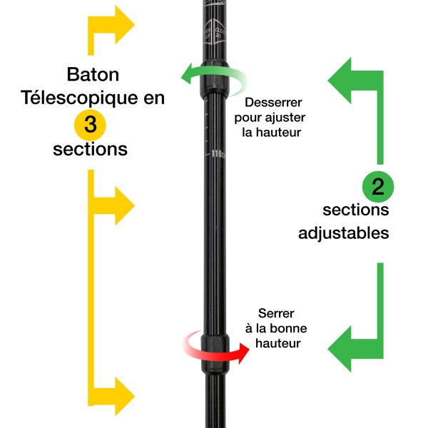 POLES DE MARCHE ET RAQUETTE TELESCOPIQUE WHITE MOUNTAIN(PAIRE) *Populaire on Sale