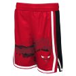 Youth Chicago Bulls Outerstuff Fade Away Shorts Online Hot Sale