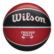 Chicago Bulls Team Tribute Basketball Online now