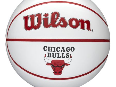 Chicago Bulls Team Autograph Mini Basketball Online Sale