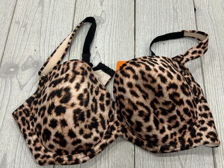 Women’s 38D bra Supply