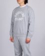 Reigning Champ Midweight Arch Logo Crewneck Heather Grey Fashion